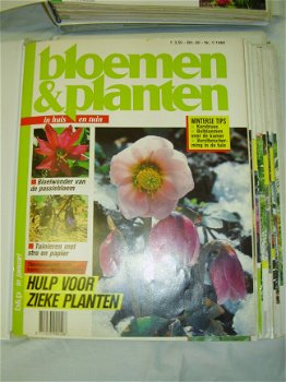 Collectie Bloemen en Planten serie 1 (doos 45) - 4