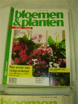 Collectie Bloemen en Planten serie 1 (doos 45) - 5