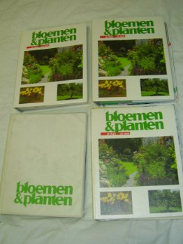 Collectie Bloemen en Planten serie 2 (doos 46) - 1
