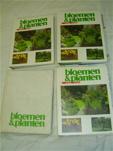 Collectie Bloemen en Planten serie 2 (doos 46)