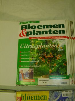 Collectie Bloemen en Planten serie 2 (doos 46) - 2