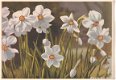 Bloemenkaart Narcissen - 1 - Thumbnail