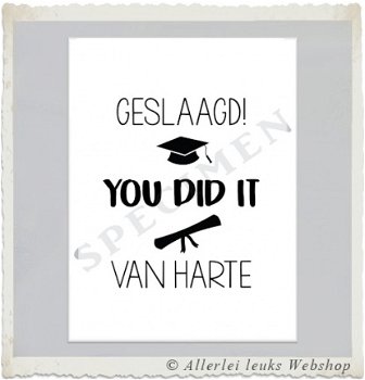 Wenskaart geslaagd you did it A6 examen - 1