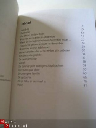 Mijn baby komt in december - Afbeelding 2