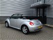 Volkswagen New Beetle Cabriolet - ( 10 beetle cabrio op voorraad ) - 1 - Thumbnail