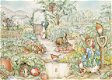 Jumbo - Peter Rabbit Garden Puzzle - 500 Stukjes - 1 - Thumbnail