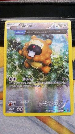 Bidoof 117/160 ( Reverse) XY Primal Clash - nr. 1