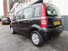 Fiat Panda - 1.2 Sturbekr Elecram Pdc Lage.km Apk.2019