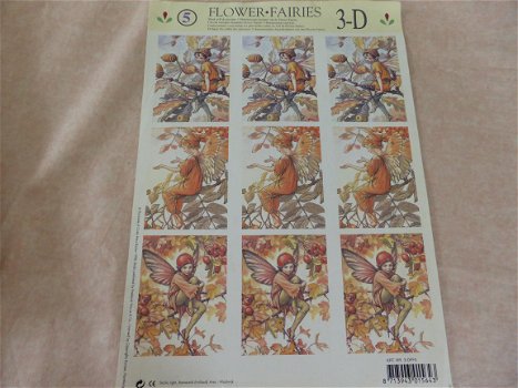 3d knipvel 34, flower fairies - 1