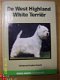 De West Highland White Terrier Gerben en Froukje Oswald - 1 - Thumbnail