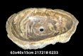 wastafels van versteend hout fossiel sink of petrified wood - 3 - Thumbnail