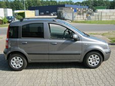 Fiat Panda - 1.2 Edizione Cool