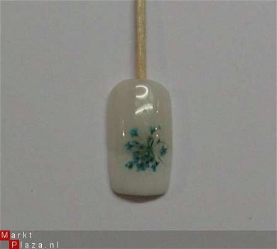 Gedroogde Droog bloemen BLUE dried flower gel acryl nail art - 1