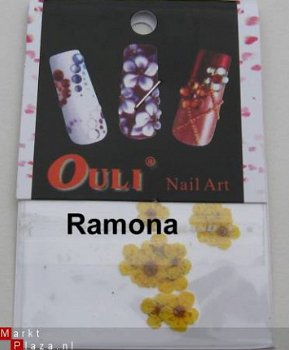 Gedroogde Droog bloemen GEEL dried flower gel acryl nail art - 1