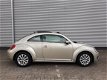 Volkswagen Beetle - 1.2 TSI DESIGN Automaat RIJKLAAR panoramadak, airconditioning, lm-velgen, full m - 1 - Thumbnail