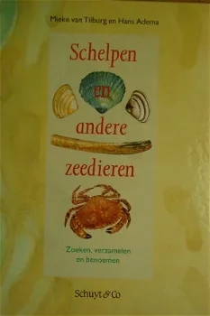 Schelpen en andere zeedieren - 1