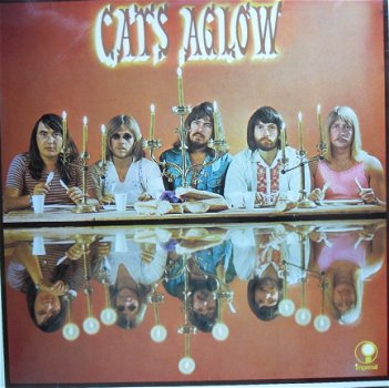 the Cats / Aglow - 1