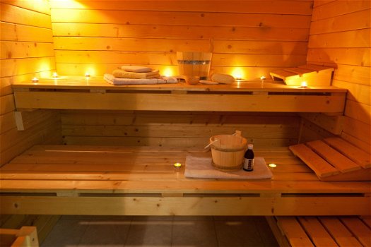 Villa sauna accomodaties Familiewoning vakantiehuis op Texel met sauna bos - 2