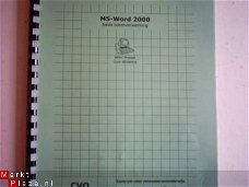 MS-Word 2000 basis tekstverwerking