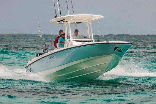 Boston Whaler 270 Dauntless - 1