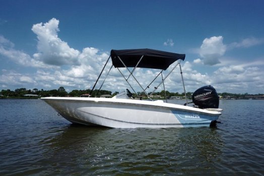 Boston Whaler 130 Super Sport - 3