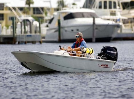 Boston Whaler 110 Sport - 4