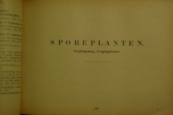 Geillustreerde flora van Nederland - Afbeelding 3