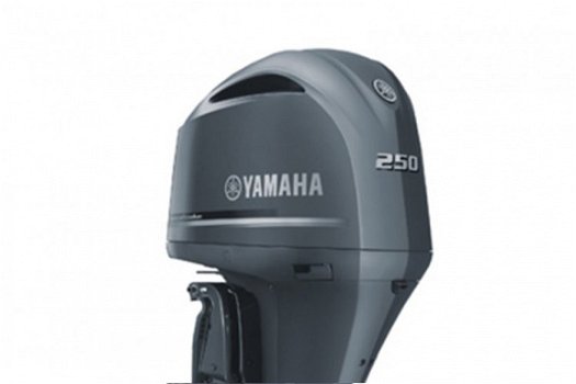 Yamaha F250 - 1