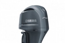 Yamaha F250