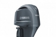 Yamaha F300 B