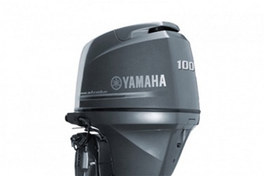 Yamaha F100 - 1