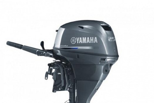 Yamaha FT25 High-Thrust - 1