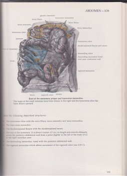 Langman, Jan en Woerdeman, M.W.: Atlas of Medical Anatomy - 3