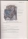 Langman, Jan en Woerdeman, M.W.: Atlas of Medical Anatomy - 3 - Thumbnail