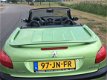 Peugeot 206 CC - 2.0-16V LEER KOUDE AIRCO NAP - 1 - Thumbnail