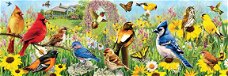 Eurographics - Garden Birds - 1000 Stukjes Nieuw