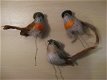 Drie oude vogeltjes mét een hoedje, cute...jaren '50 - 1 - Thumbnail