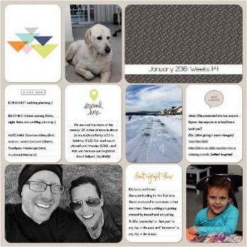 NIEUW PROJECT LIFE Journal Cards Currently Collection Set 6.2. - 8