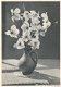 Zwart-Wit Bloemenkaart uit Duitsland 1952 - 1 - Thumbnail
