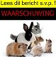 Waarschuwing: Let op bij gratis aanbod van dieren (konijn, knaagdier, kat, poes, hond)! - 1 - Thumbnail