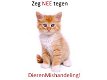 Waarschuwing: Let op bij gratis aanbod van dieren (kat, poes, hond, konijn, knaagdier)! - 1 - Thumbnail