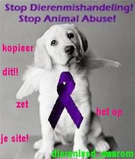 Waarschuwing: let op bij gratis aanbod van dieren (hond, kat, poes, konijn, knaagdier)! - 1