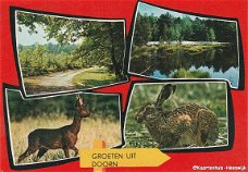 Groeten uit Doorn 1975