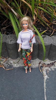 Barbie en ken kleding