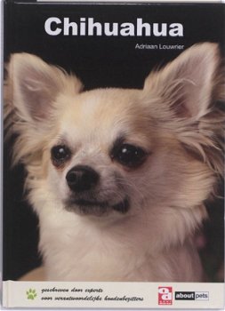 Chihuahua, Adriaan Louwrier - 1