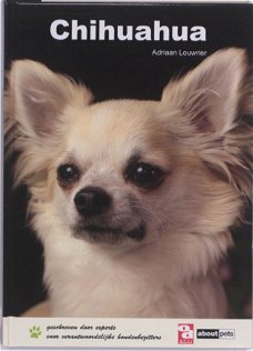 Chihuahua, Adriaan Louwrier