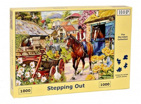 House of Puzzles - Stepping Out - 1000 Stukjes Nieuw - 2