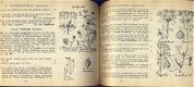 HEIMANS+HEINSIUS+THIJSSE*1960*GEÏLLUSTREERDE FLORA NEDERLAND - 5 - Thumbnail