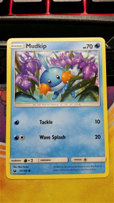 Mudkip  33/168 Celestial Storm