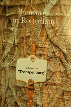 Bomenrijk in Rotterdam Arboretum 'Trompenburg' - 2